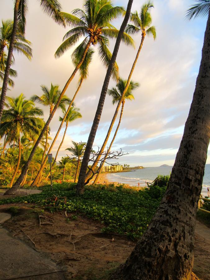 Maui-Licious By The Beach Kīhei Exterior foto