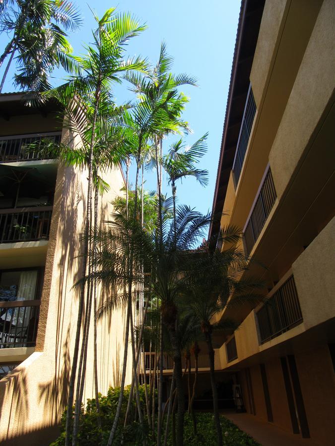 Maui-Licious By The Beach Kīhei Exterior foto